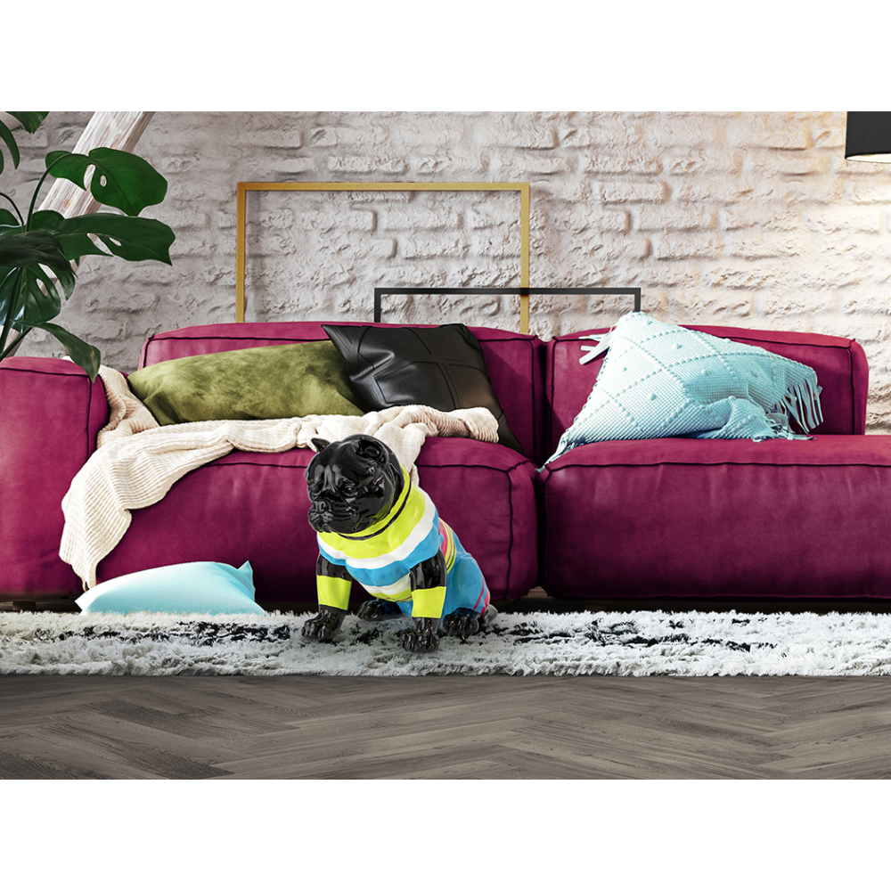 ROCKY- PITBULL  MEDIANO NEGRO-RAYAS