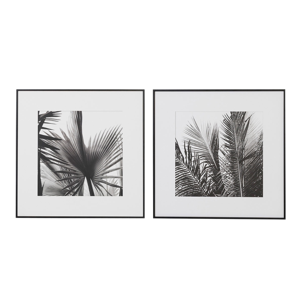 SET 2 LÁMINAS IMPRESA 50x50cm HOJA PALMERA BLANCO Y NEGRO 1. MARCO NEGRO