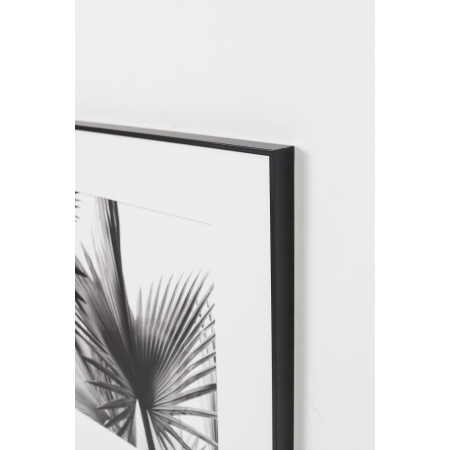SET 2 LÁMINAS IMPRESA 50x50cm HOJA PALMERA BLANCO Y NEGRO 1. MARCO NEGRO