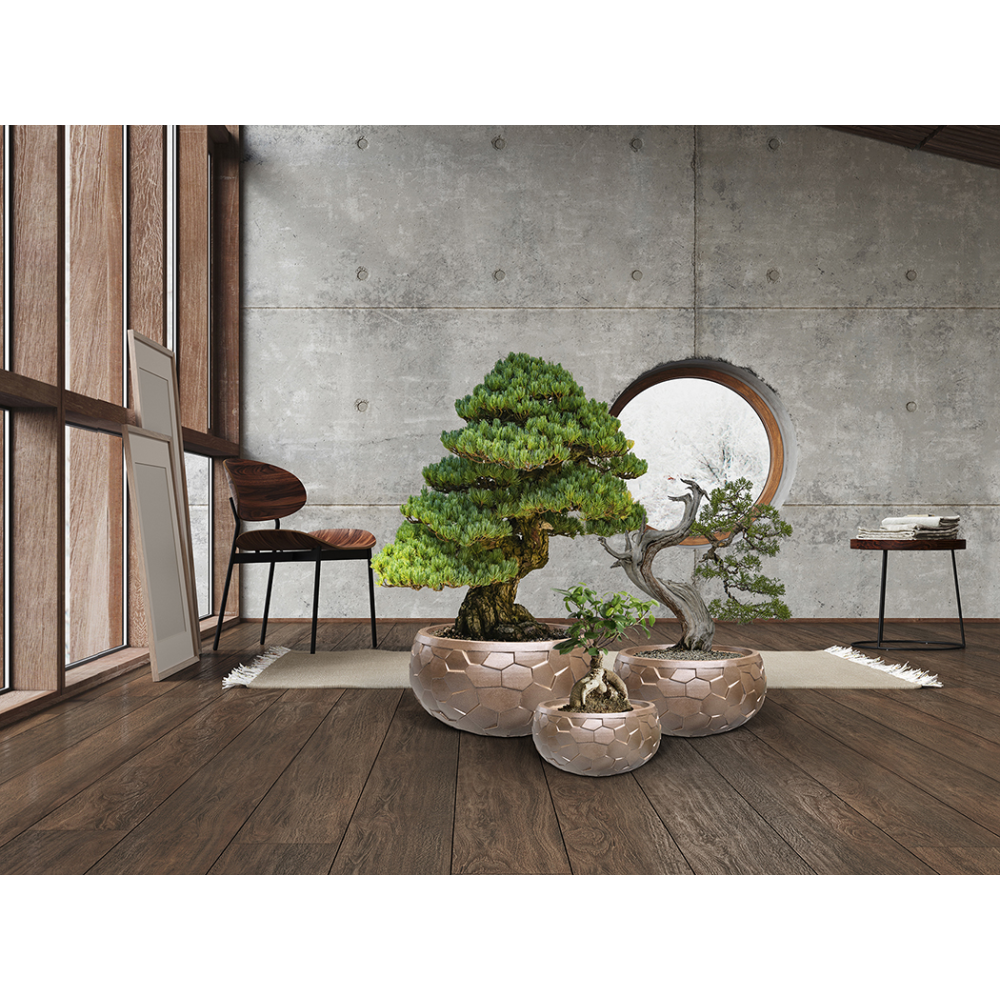 CANELA- SET 3 MACETEROS- BRONCE