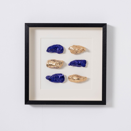 CUADRO VITRINA MARCO NEGRO Y OSTRAS DORADAS Y AZUL. 50*50 CM