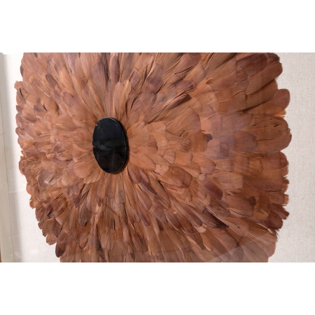 CUADRO VITRINA 100*100 CM, MARCO ROBLE Y PLUMAS CORAL CON PIEDRA CRISTAL