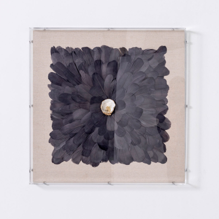 CUADRO VITRINA 60*60 CM, CAJA METRACRILATO, ESCULTURA PLUMAS NEGRAS CON PIEDRA CRISTAL