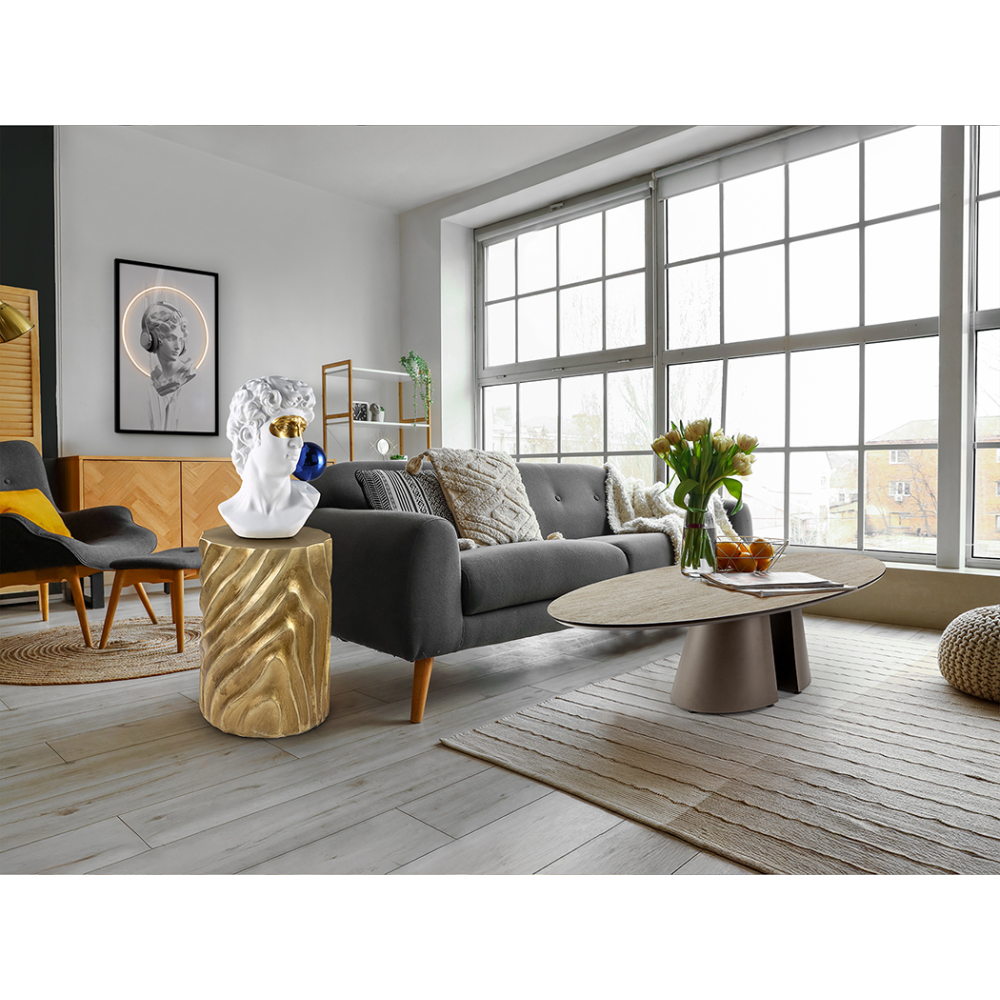 DAVID- BUSTO -COLORES