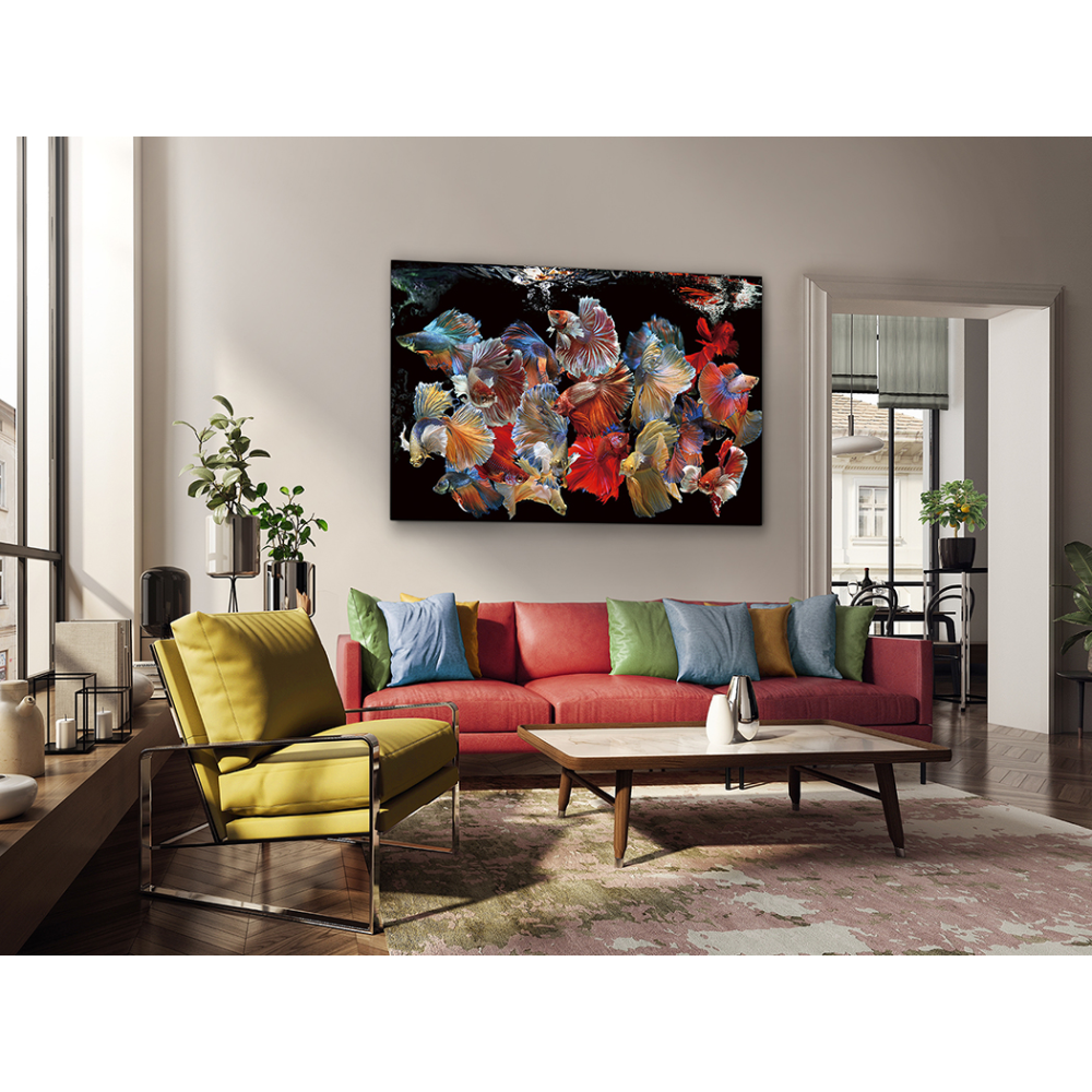 PECES SIAM- FOTO 150x100